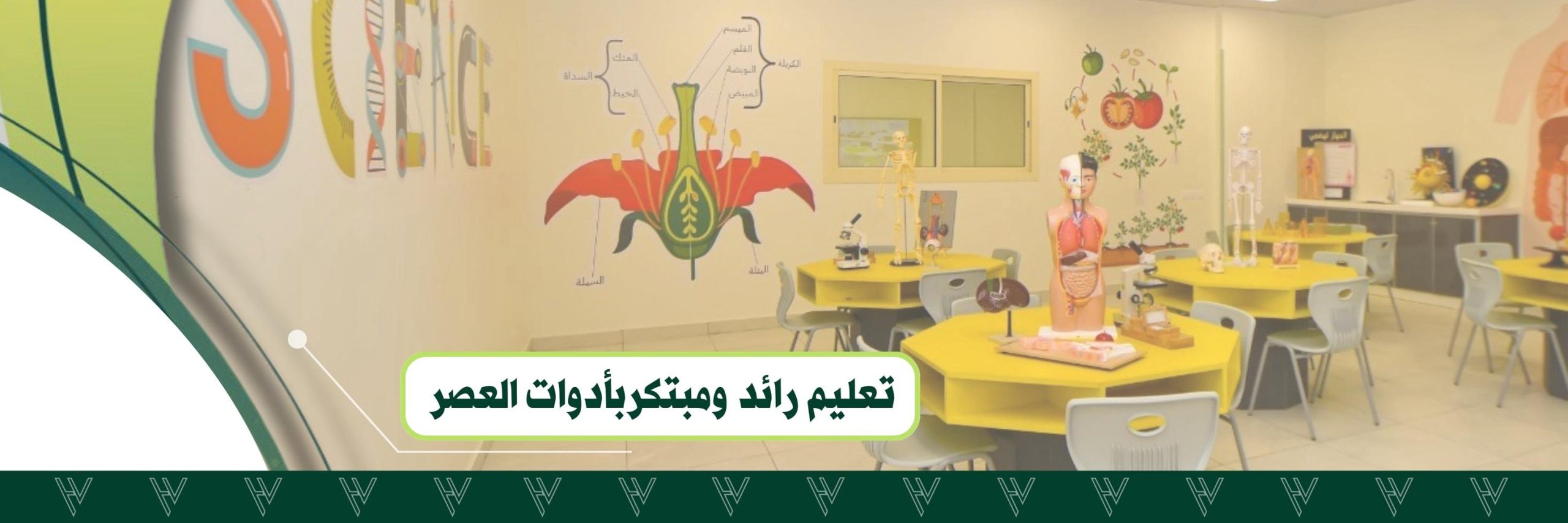 المرحلة الثانوية